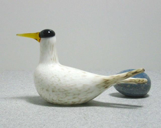 iittala Toikka Arctic Tern 2000 Annual Bird - Toikka Bird Guide –  GlassBirds.com