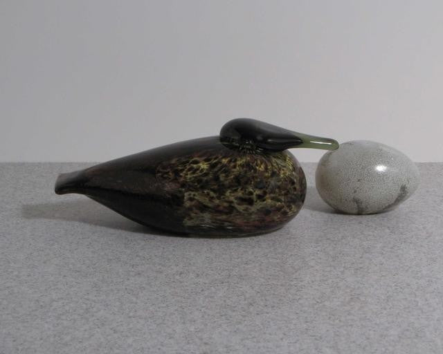 Iittala Toikka Black Female Eider - Toikka Bird Guide – GlassBirds.com